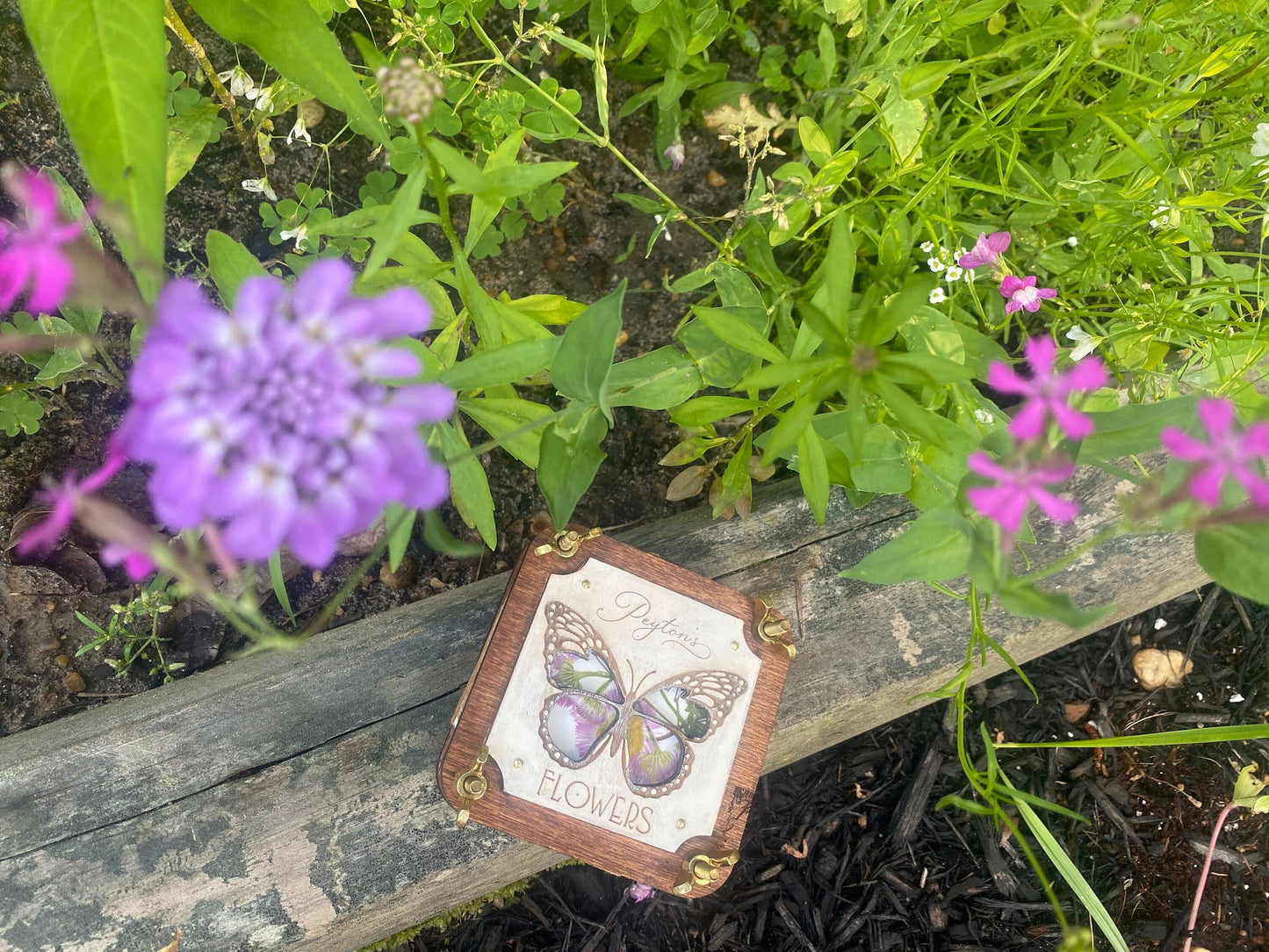 Mini Flower Press with Butterfly Window