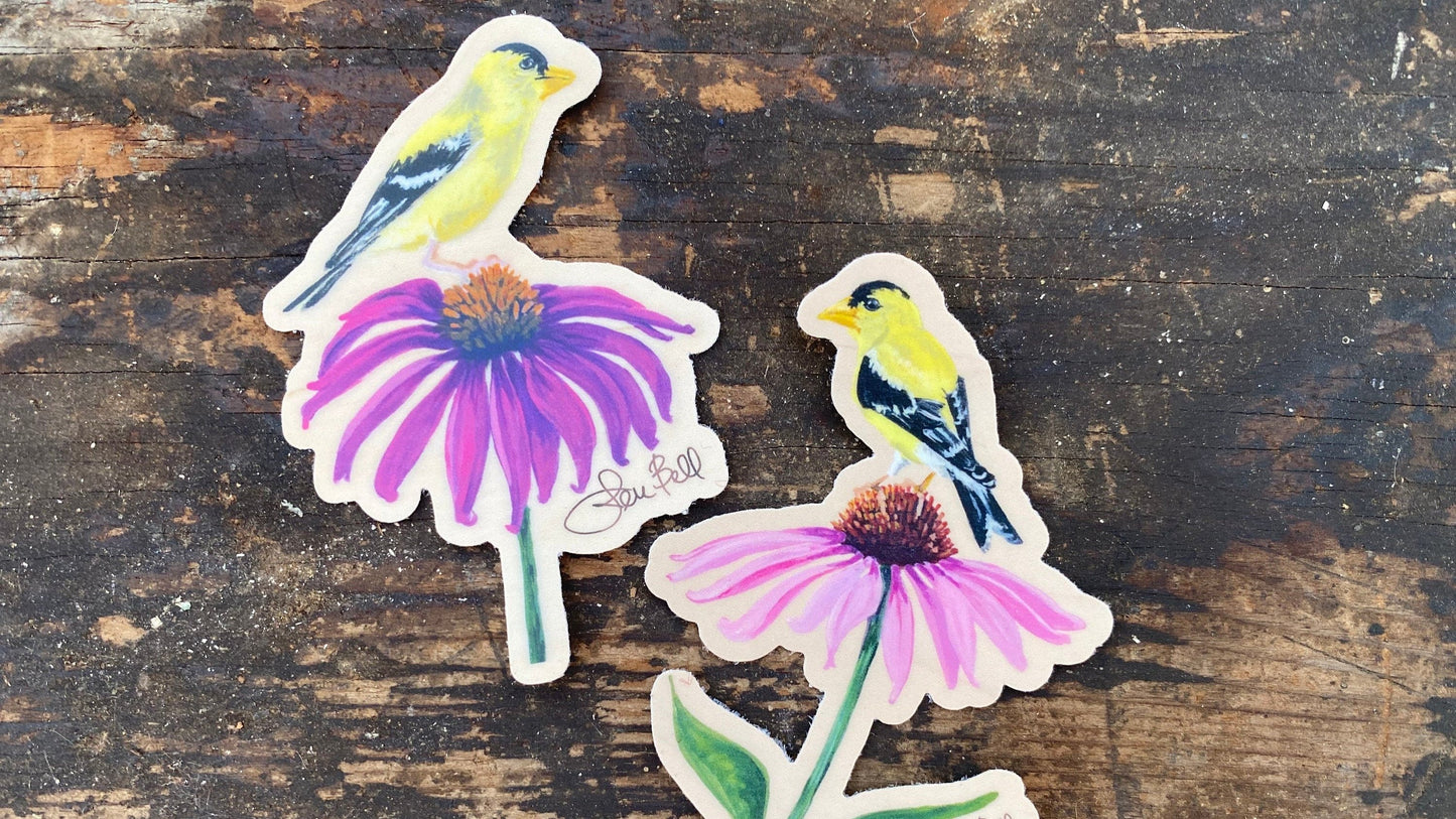 NJ's State Bird - Yellow Finch with a Pink Coneflower