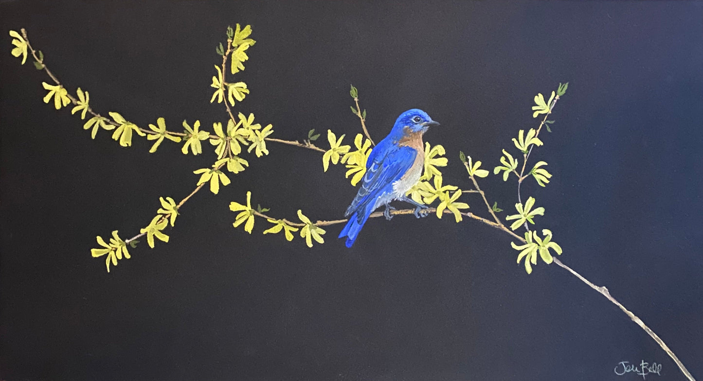 Eastern Blue Bird by artist Jen Bell.